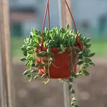 Modern Flower Basket Reusable Heighten Plastic Hanging Planter Decor Pot for Outdoor Home Garden Wall Decoration