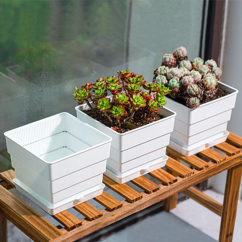 Meshpot 10cm 12cm 15 cm Plastic Flower Pot Bonsai Garden Planter Succulent /Cactus Root Control Pot Good Drainage with Air Holes