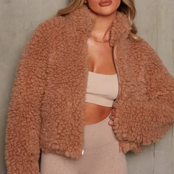 Outono e inverno casaco de lã de cordeiro feminino quente preço de pelúcia casaco de pele moda cor sólida casaco cardigan moda casaco solto