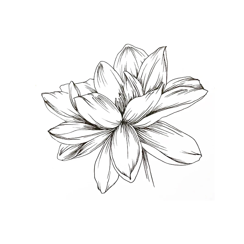 

Clear Stamp for DIY Scrapbooking Card Sketch Flowers Transparent Silicone Stamps Making Album Paper Crafts Decor New 2019 Stamps