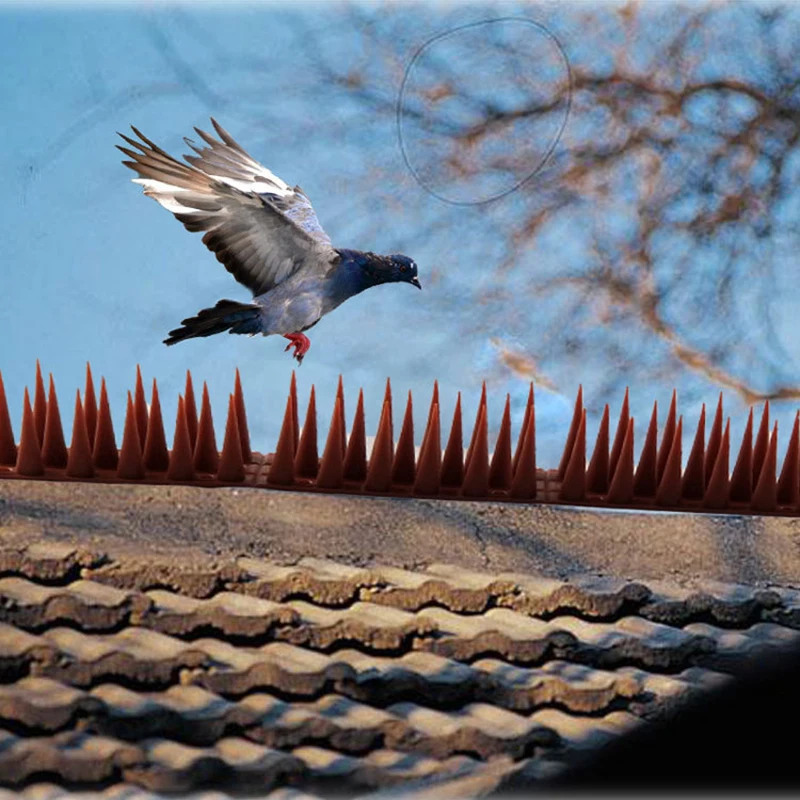 2020 New Plastic Bird and Pigeon Spikes Anti Bird Anti Pigeon Spike for Get Rid of Pigeons and Scare Birds Pest Control