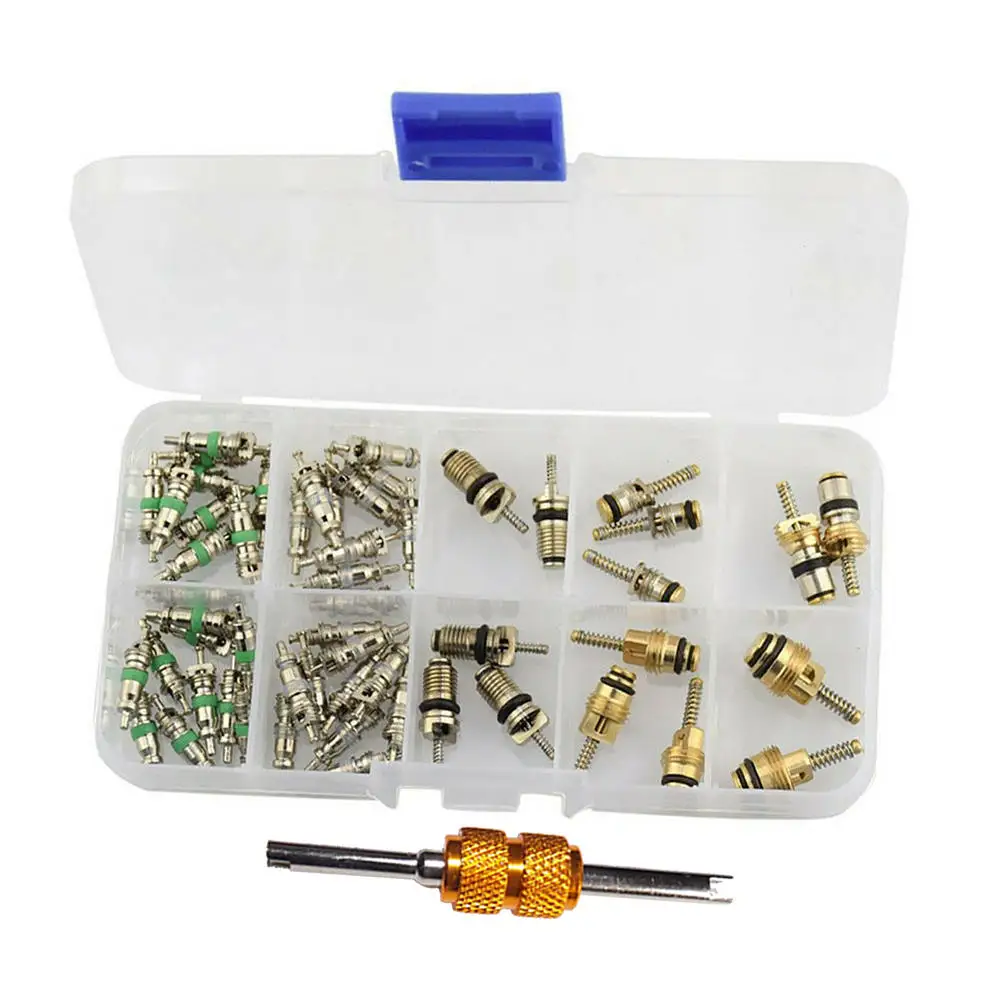 

55PC Air Conditioning A/C Valve Cores Remover Assortment for Schrader R134a R12 R22 Air Conditioning Valve Core Tools