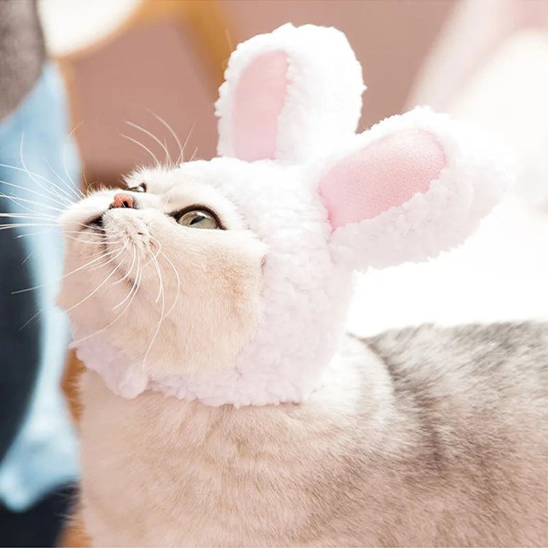 Домашний Кот, кролик, головной убор, собака, плюшевый мишка, мишка, перевернутый головной убор, реквизит для выступлений, смешной кролик, уши, головной убор - Цвет: rabbit