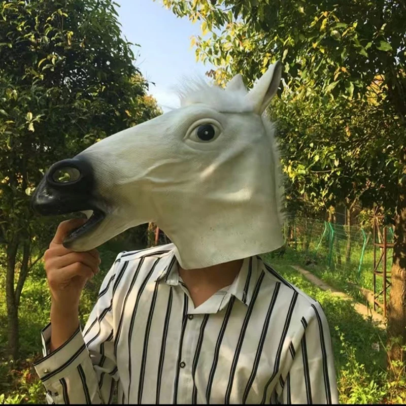 1607959556962