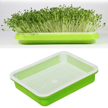 

Bean Sprouts Double-layer Hydroponic Flower Plant Basket Sprouting Tray Box Sprout Seedling Tray Home Garden Nursery Pots