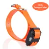 Only Orange collar