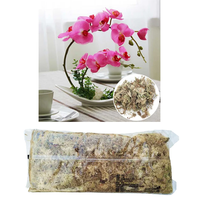 6L Száraz Szerves Anyag Terrárium Sphagnum Moha Orchideák Segítetlen Tenyésztés