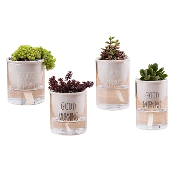 

Ceramic Glass Combination Flower Pot For Horticulture Flower Pot Vase Green Plants Home Decoration Birthday Gift Cute