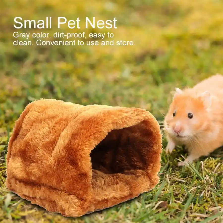 32+ Ardilla Voladora Mascota Pictures