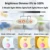 Anordsem 2 LED Folding Lightbox 40*40 Portable Photography Photo Studio Softbox Adjustable Brightness Light Box For DSLR Camera