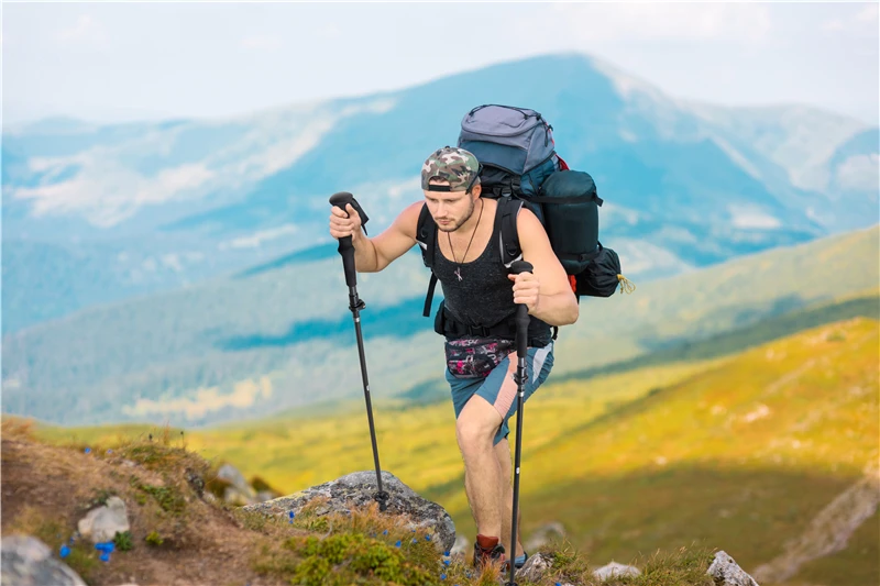 shutterstock_1188119719