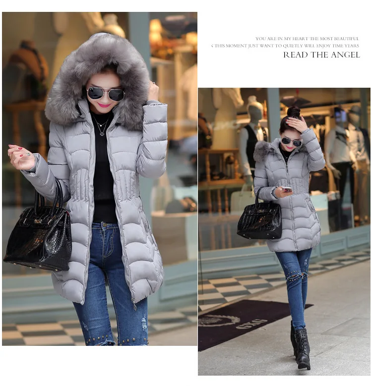 2451361891_1570061270