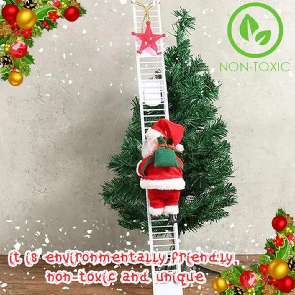 DZ149301-C-20091204-1