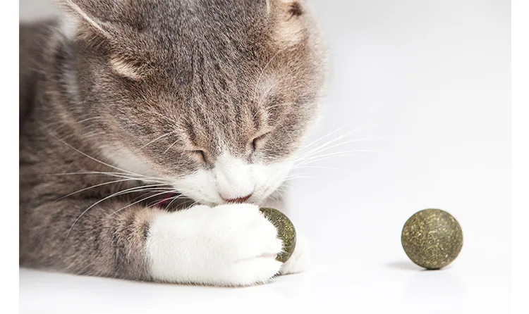 Кошка мята кошка погоня животное игрушка съедобный натуральный мяч из кошачьей мяты кошка чистка зубов игрушка здоровье и безопасность