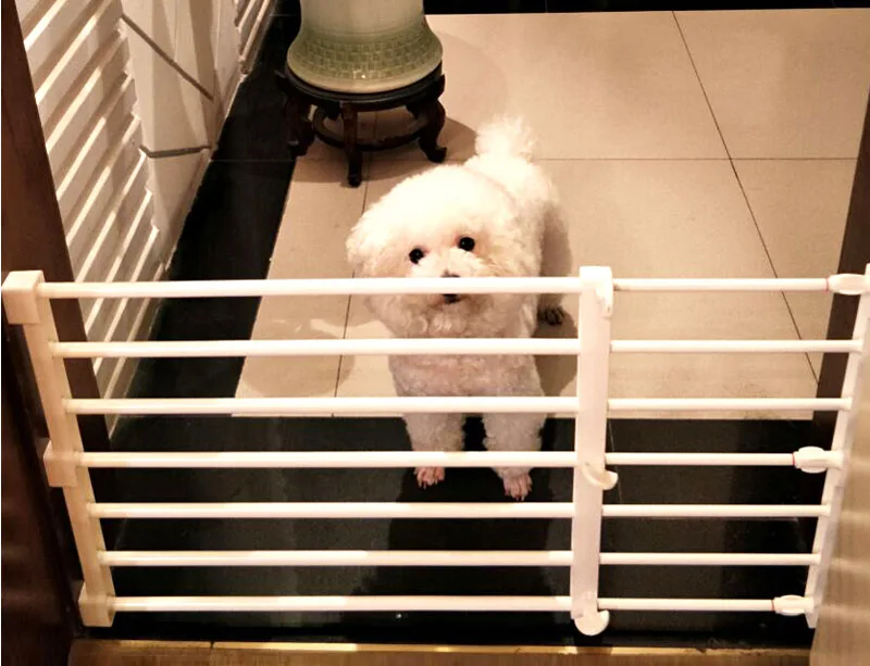 small dog kennel