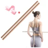 Yoga Pole Open Shoulder Beauty Back Correction Hunchback Artifact Yoga Stick Multifunctional Dance Body Sculpting Home Fitness