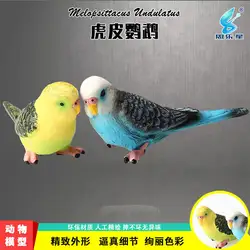 Эксклюзивная модель животного Jingang Parrot Tiger Skin Parrot Cacatua Parakeet модель игрушка для птиц