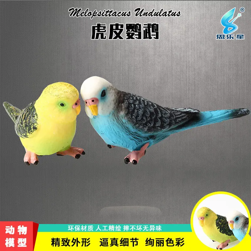 

Boutique Solid Animal Model Jingang Parrot Tiger Skin Parrot Cacatua Parakeet Model Birds Toy