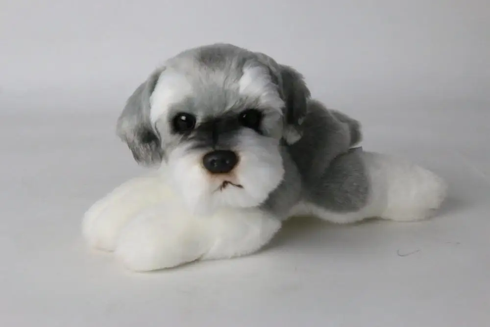 Плюшевая игрушка Schnauzer, имитация собаки, для маленьких девочек и мальчиков, мягкая игрушка, мультяшная собака, животные, кукла, детская комната, Декор, подарок на день рождения