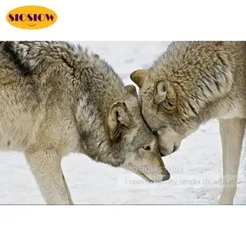 

Full wolf couple love 5D diamond painting Black and white wolves 3D picture diamond embroidery animal family art craft gift