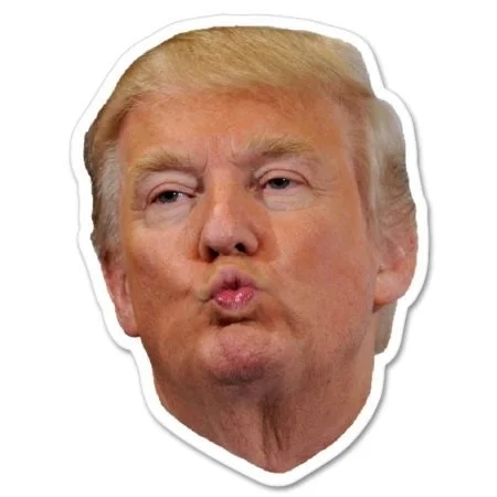 Виниловая наклейка для лица Дональда Трампа-шлем для автомобильного телефона-Выберите Размер