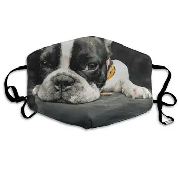 

French Puppy Pug Bulldog Marvellous Dust Mouth Mask Reusable Anti-Dust Face Mask Adjustable Earloop Skin Protection