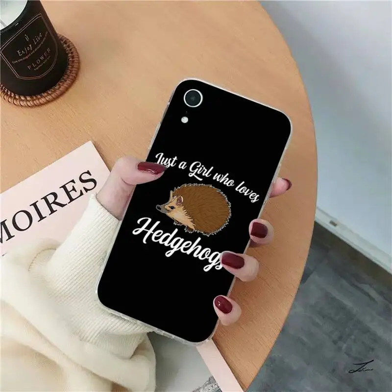 13 case Kawaii Hedgehog Phone Case for iPhone 13 11 12 pro XS MAX 8 7 6 6S Plus X 5S SE 2020 XR case 13 cases iPhone 13