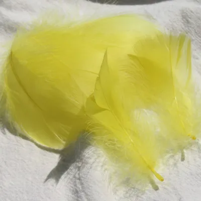 Yellow 100pcs