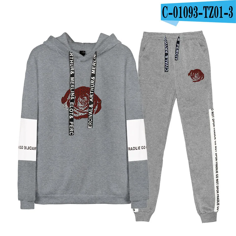 gray hoodie suit Унисекс костюм с капюшоном, толстовка с брюками, зимняя мужская и женская уличная Толстовка в стиле хип-хоп - Цвет: gray hoodie suit