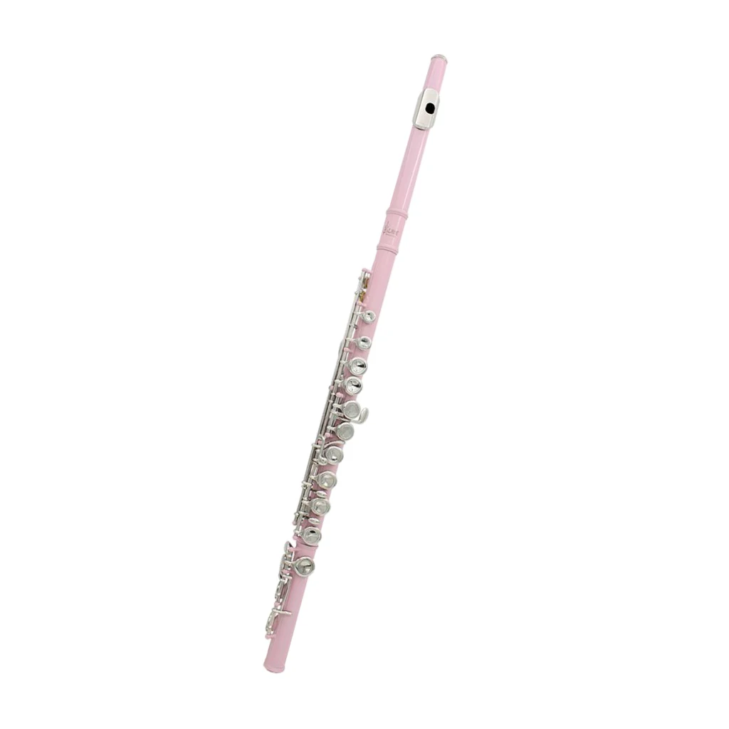 LADE 16 Closed Hole C Key Flute with Cleaning Cloth Stick Screwdriver Padded Box for Beginner Students Gift