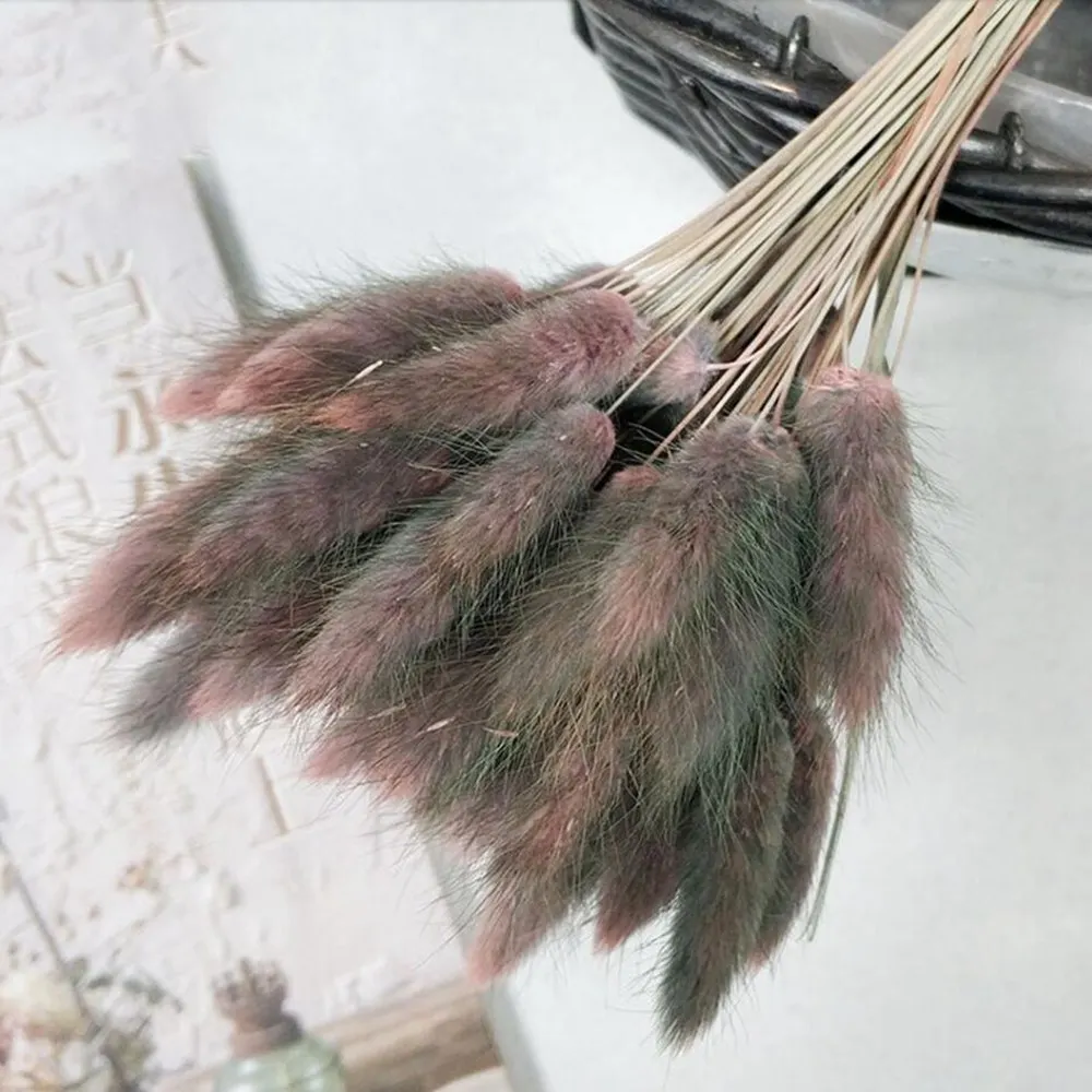 30pcNatural Dried Flowers Bouquet DIY Wedding Home Decoration Rabbit Tail Grass Real Flowers - Цвет: Gradient pink