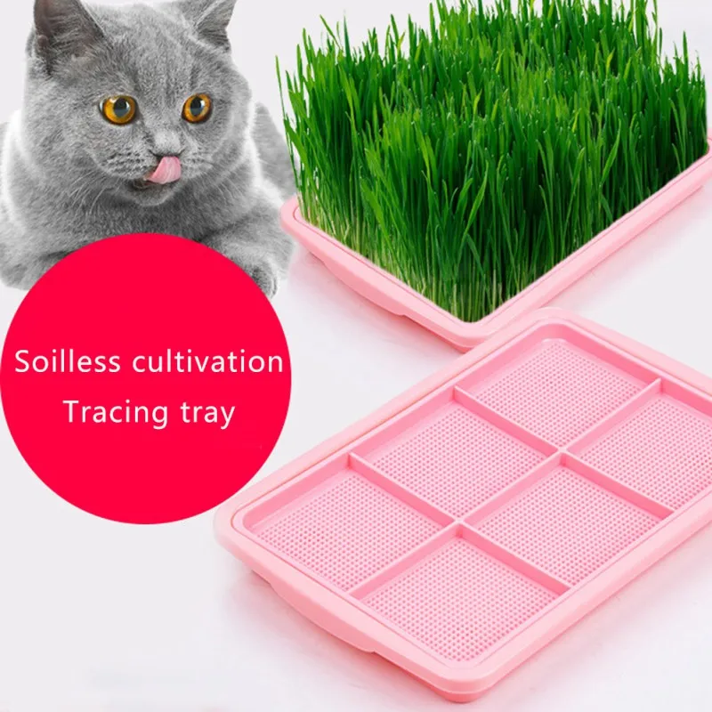 Pet Cat Mint Hydroponic Cat Grass Planting Box Blue Cat Grass