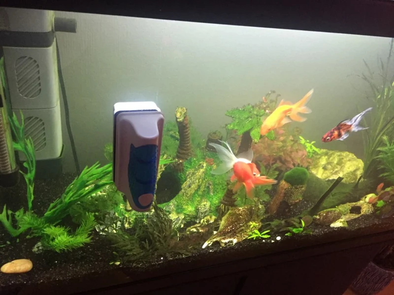 UT8680PX1VaXXagOFbXR