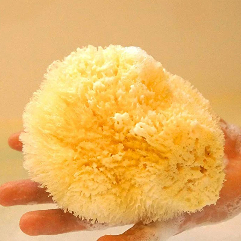 

Natural Yellow Sea Grass Sponge. Perfect for Bath, Shower and Body Care. Softly Rough But Not Skin Irritating.