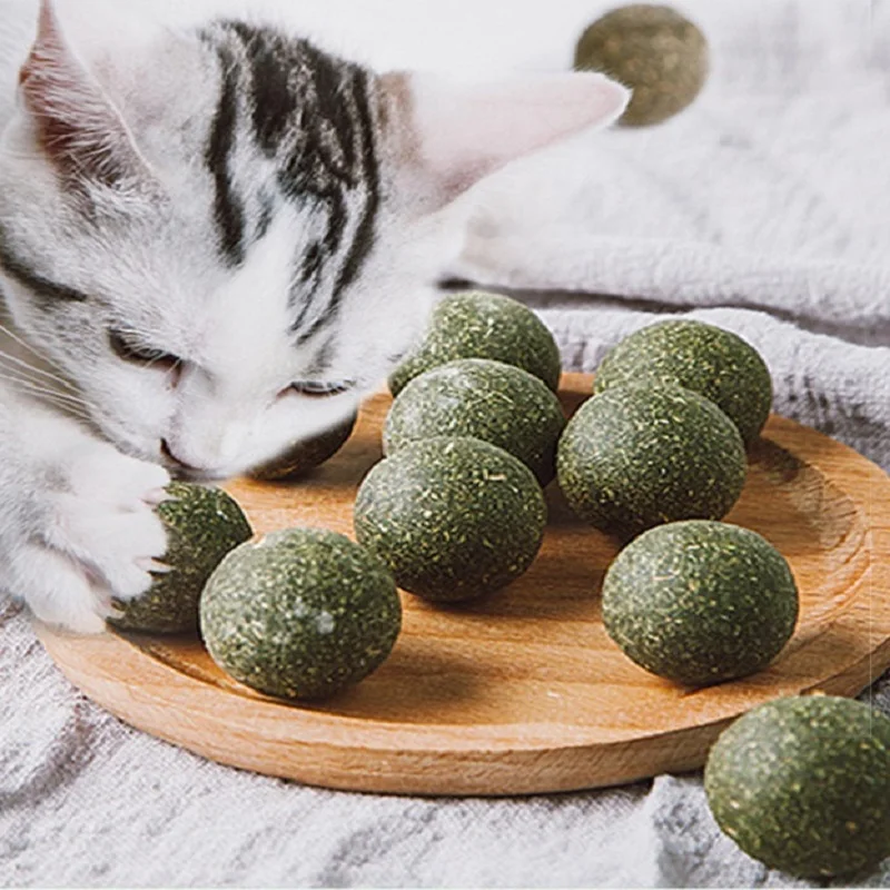 Pet Catnip Toys Edible Catnip Ball Safety Healthy Cat Mint Cats Home Chasing Game Toy Products