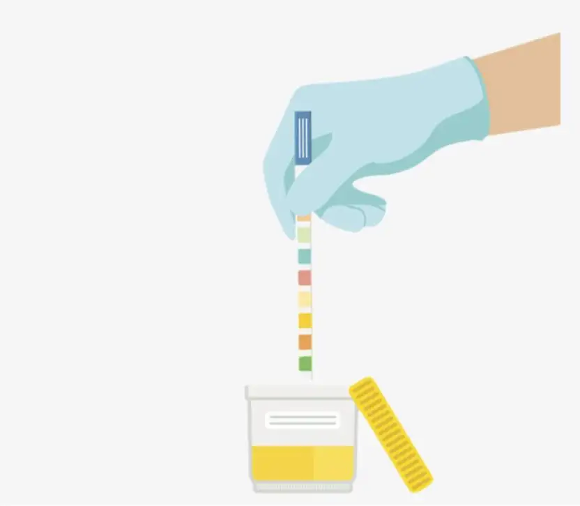 QQ截图20190902165723