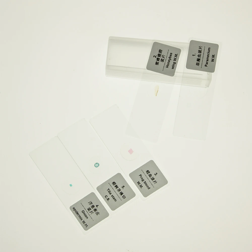 EYSDON 5 PCS Prepared Microscope Glass Slides Biological Sliced for Enlightenment Education for Students' Scientific Exploration