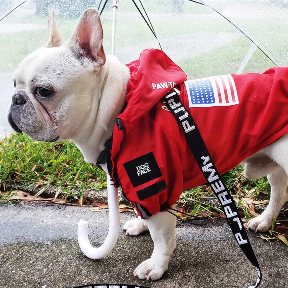 Fashion Dog Raincoat Windproof Waterproof Dog Jacket Windbreaker French Bulldog Reflective Coats Large Dogs 1
