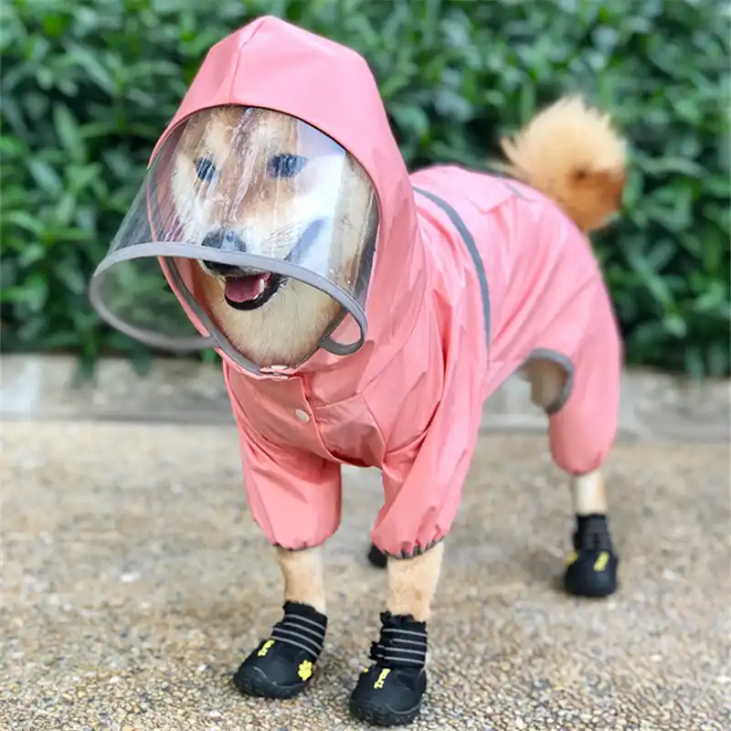poodle raincoat
