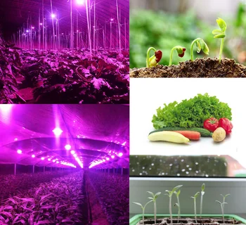 

Led Grow Light 50W/100W 220V Full Spectrum for Indoor Plant And Flower Seedling Grow Waterproof Flood Lights