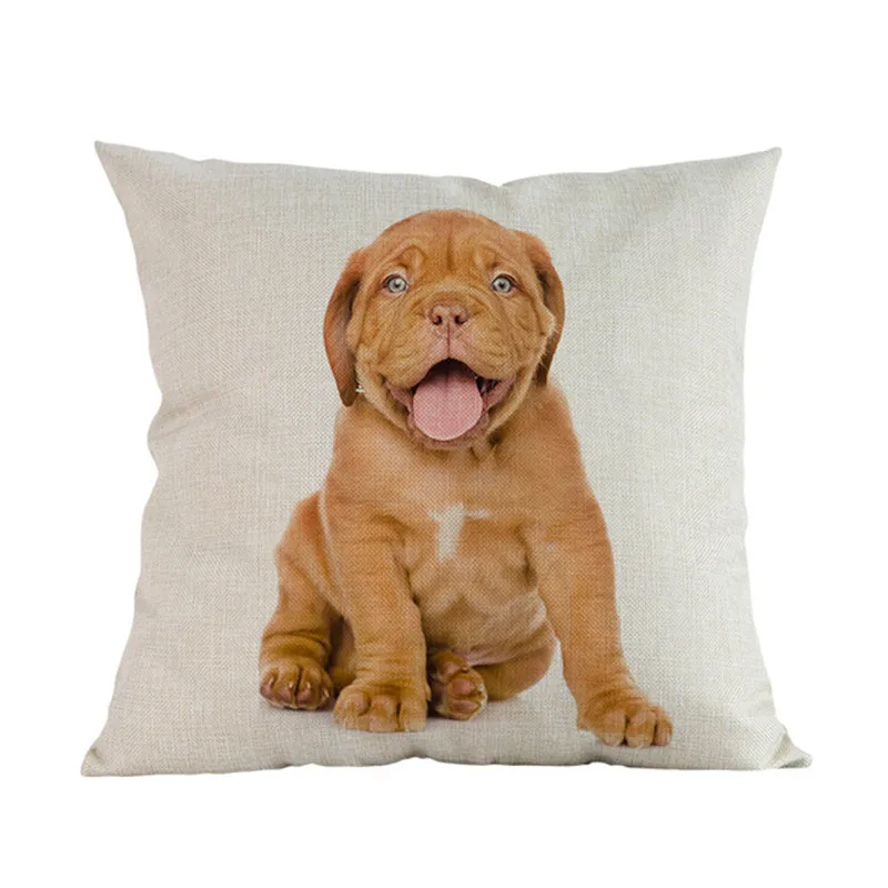 Cute-Puppy-Animal-Pet-Breed-Dogs-Dachshund-Corgi-Pomeranian-Shepherd-Labrador-Bulldog-Pillow-Case-Home-Shop.jpg_640x640 (24)