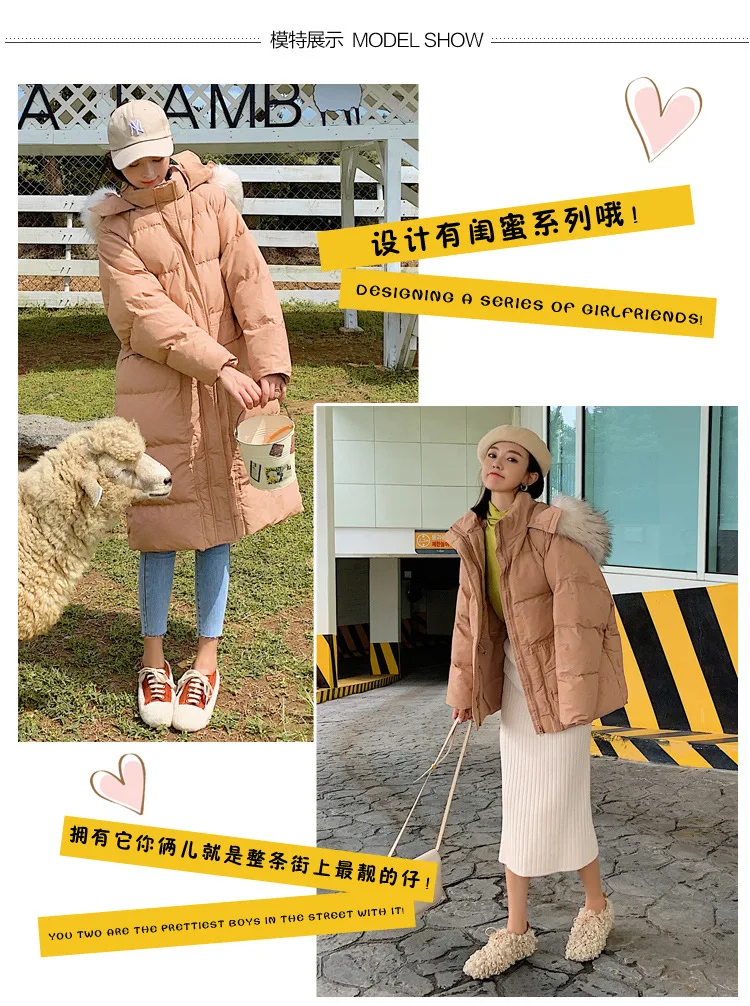 Photo Shoot New Style Best Friend Korean-style Hooded Large Fur Collar INS down Jacket Medium-length Cotton Coat WOMEN'S Co