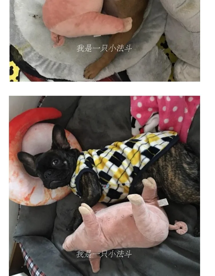 Brinquedos собаки Chien метод ведро четыре фута свинья Спящая партнер Французский бульдог игрушка собака домашние плюшевые игрушки