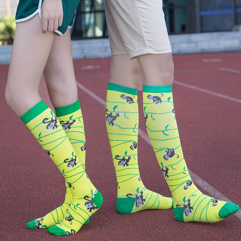 Brothock-��⼺�� ���� ������ ���뽺, �߿� �й� ��Ÿŷ, ���� ���� ����Ʈ, ������ �縻