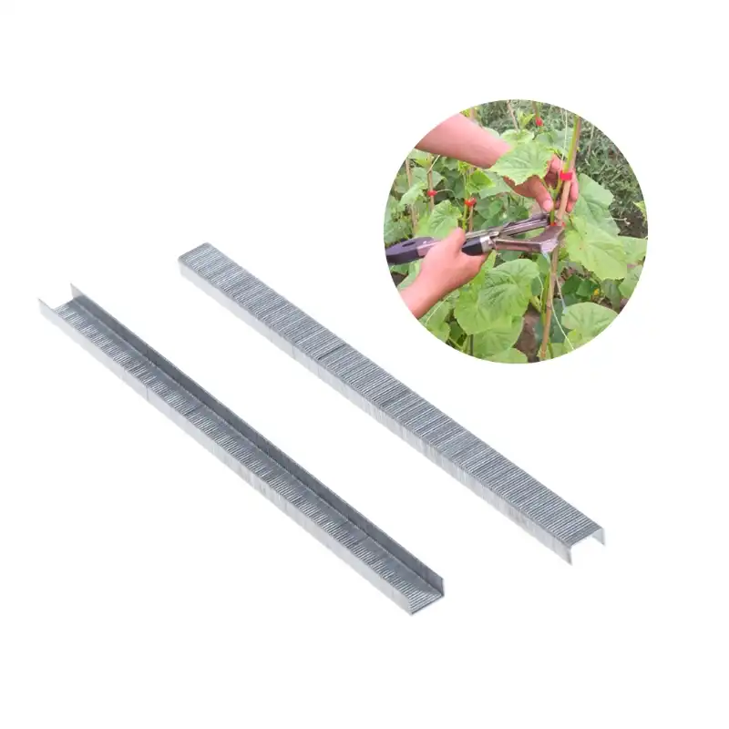 Herramienta de cinta de uñas 10000 un 604C Grapas para las plantas de tomate uva carpeta de verduras