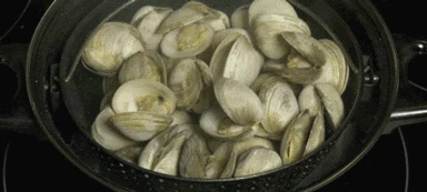 Ha48dbbf83cd34d2ea17abe678e2816ecb