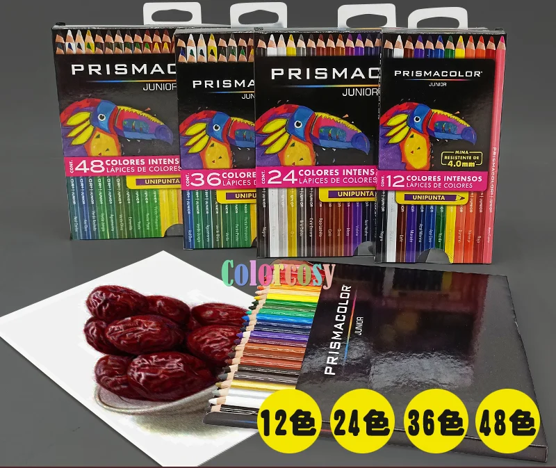 12 15 24 36 48 Prismacolor Junior Colored Pencils Oily Colores Intensos