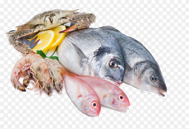 鱿鱼作为食物，鱼，海鲜，肉-海鲜