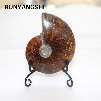 

Runyangshi 1pc Ammonite fossil conch specimen of Madagascar black metal stand quartz crystal for healing