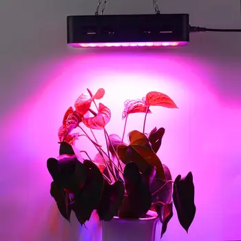 

600W plant light